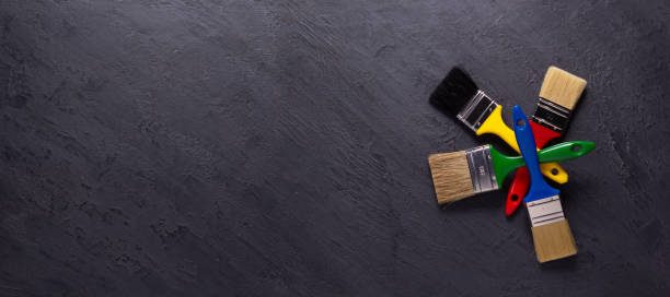 Trusted Louisa, VA Mold Removal Experts