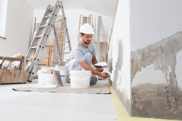Best Water Damage & Mold Remediation  in Louisa, VA