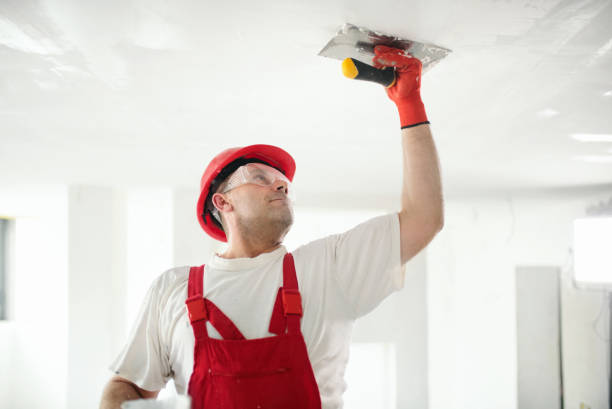 Best Asbestos and Lead Testing During Mold Inspection  in Louisa, VA