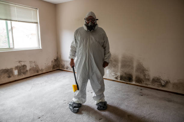 Biohazard Mold Removal in Louisa, VA
