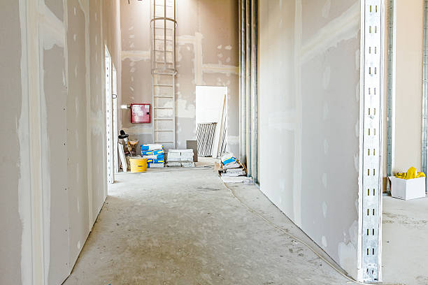 Best Mold Odor Removal Services  in Louisa, VA